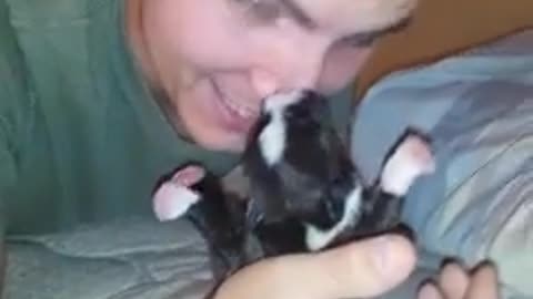 Newborn puppy thinks owner's nose is food source