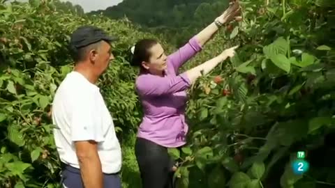 El FRAUDE de la FRUTA FALSA 🍎🍈🍌🍍 Documental