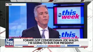 Dan Palmer says Trump shouldn't worry about Joe Walsh's 2020 bid