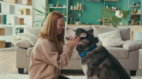 Girl Hugs Strokes Her Dog Plays Looks at the Animal