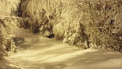 Night Skiing in Anchorage