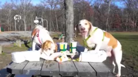 Dogs' Epic Shopping Cart Voyage