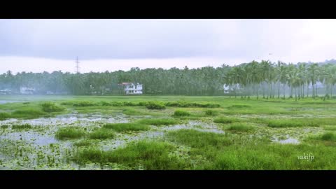 Kerala nature | Nature lover | Positive vibe