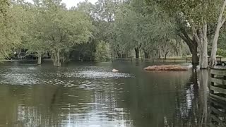 FLOODING IN FLORIDA