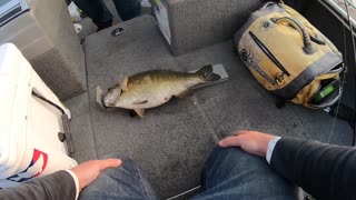 My Heaviest Small Mouth Bass Ever!!