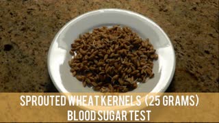 Sprouted Wheat Kernels - Blood Sugar Test