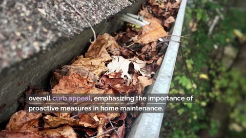 What is Gutter Sludge? What are the Causes?