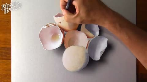 Draw The Morphology Of Egg Intima