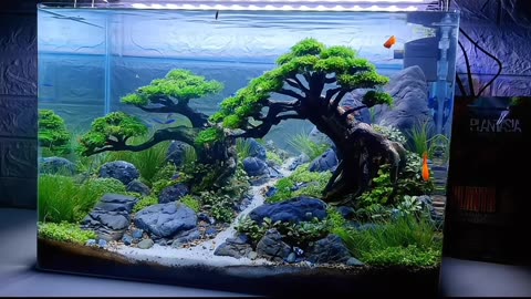 The Most Realistic Underwater Forest You've Ever Seen!