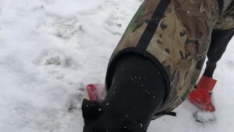 Snow Socks Make for Awkward Walk