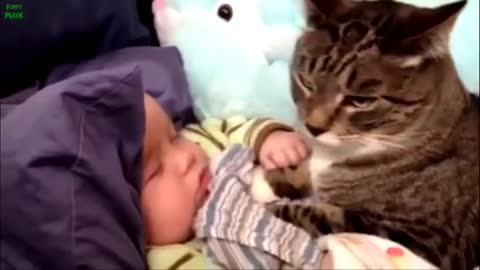 Funny Babies and Animals Compilation