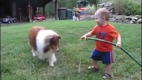Baby​ and play dog with Hose