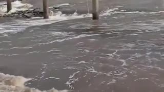 Fishing in Brazil