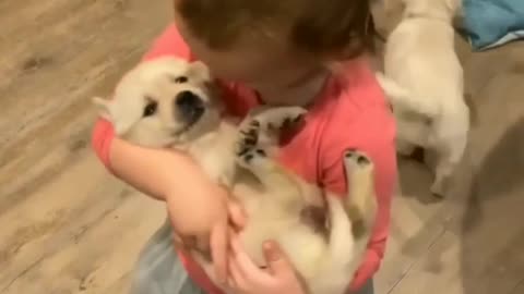 Cute baby girl and a dogs