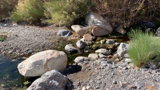 A creek I found in Red Rock Nevada
