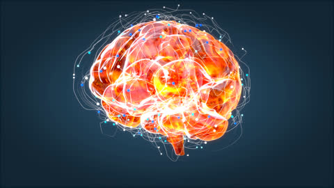 Brain xray, human anatomy, 3D Animated neurons