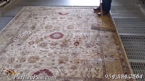 Show me in video how you clean Oriental rug & remove the urine odor | PetPeePee