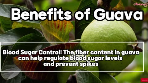 Guava Benefits Benefit | 10 Benefit | Natural Health 786 | Skin Care | Improve Digest System