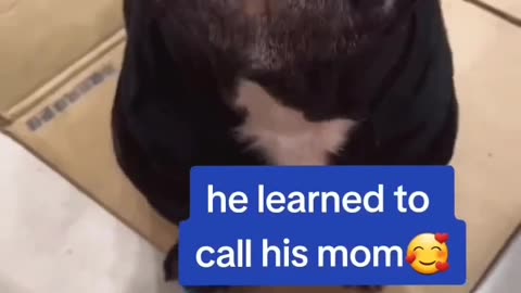 He learned to call his mom