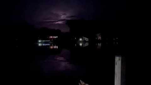 Dog Enjoying Lightning Over the Lake