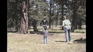 Dad Saves Toddler From Epic Swing Fail