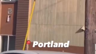 Damn 🤣 | Portland