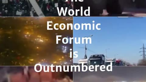 The WEF is outnumbered