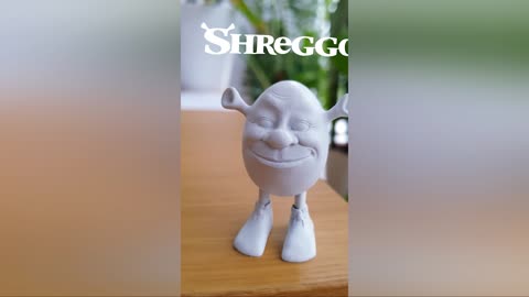 Shreggo 3D Printing Workflow