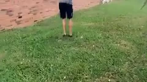 Failed back flip brick wall