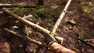 Building a Woodland Cabin with Plastic Wrap