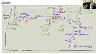 Arsenic, rice, food problem #1