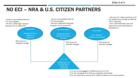 Foreign Owned Multi-Member LLC - Form 1065 Reporting for Nonresidents