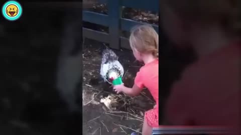 Feeding a chicken