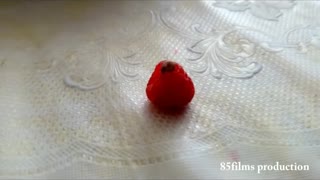 Snail on Raspberry / Улитка на малинке