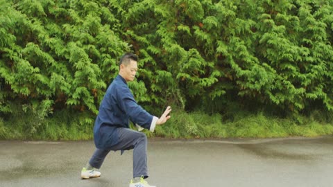 Chen Tai Chi Lao Jia Yi Lu