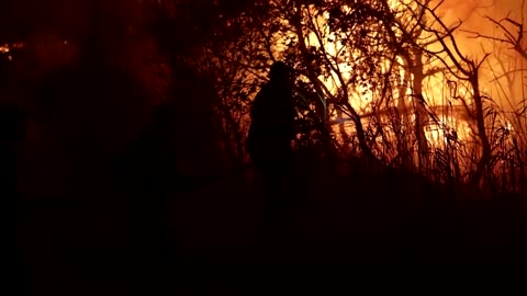 Firefighters battle deadly Greek park blaze