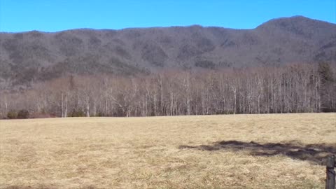 Cades Cove Great Smoky Mountians 2