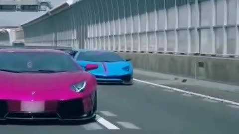 lamborghini car show