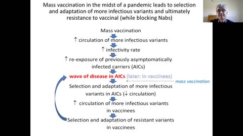 Innate immunity is the cornerstone of herd immunity against acute viral infections