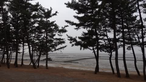 Beach view in bad weather.