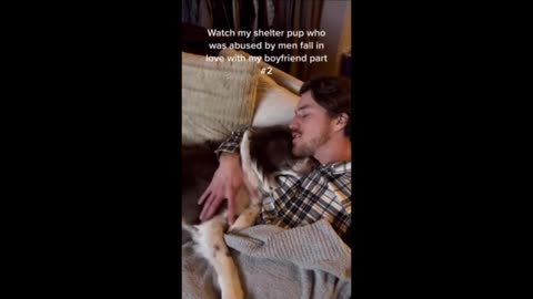 Once-abused shelter dog falls in love with owner's boyfriend