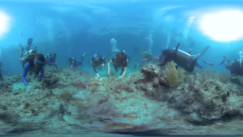 Explore the Blue: 360° Coral Restoration