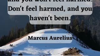 Men's Philosophy: Resilience - Marcus Aurelius