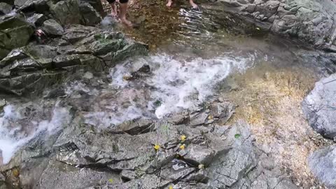 Waterfall Stem Between Rocks