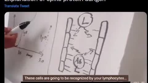 Explanation of spike protein danger.