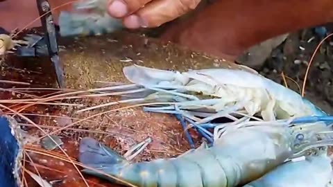 India Freshwater Shrimp Fish Cutting...