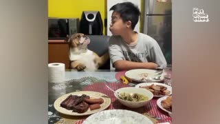 The FUNNIEST Pet Videos of 2023! 🤣 _ BEST Compilation