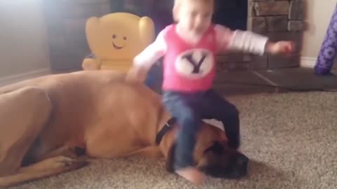 Dogs are the best friend of Babies 23