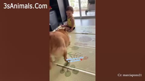 Lovely Puppies Love Babies Compilation 😍 A Cute Puppy 🐶and Baby👶 Videos 2021