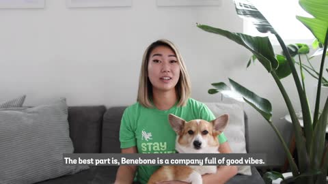 Introducing the Benebone Wishbone Chew Toy for Dogs